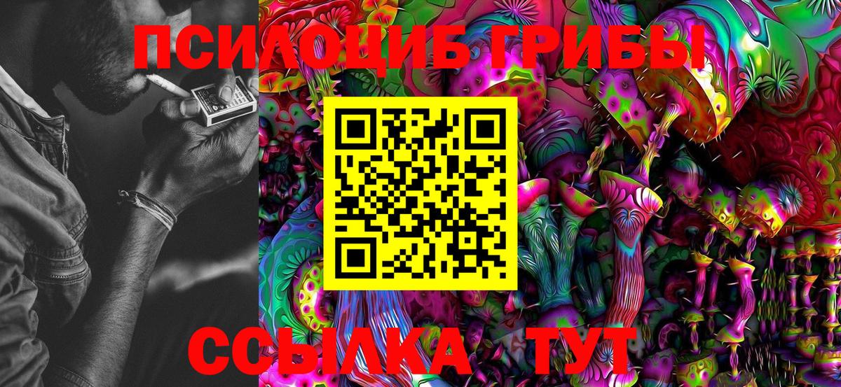 Псилоцибиновые грибы Psilocybine cubensis Красноармейск
