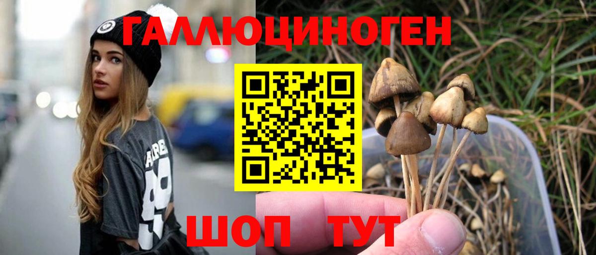 Красноармейск  продажа наркотиков  Вход с VPN  Псилоцибиновые грибы Psilocybine cubensis  Галлюциногенные грибы Psilocybe 